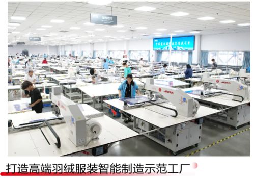 穿 爾濱 品牌逛爾濱 波司登 哈爾濱 產(chǎn)業(yè)基地啟動